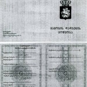 Zamów tłumaczenie przysięgłe: Gruziński akt urodzenia