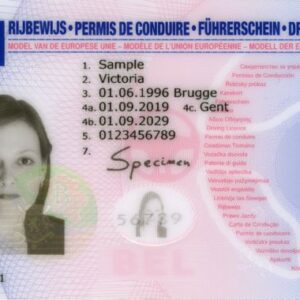 Belgijskie prawo jazdy (tłumaczenia na polski) – tłumaczenie przysięgłe online