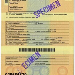 Tłumaczenie belgijskie dokumenty samochodowe na język polski
